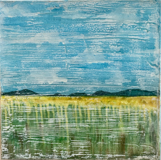 Fields of Sun